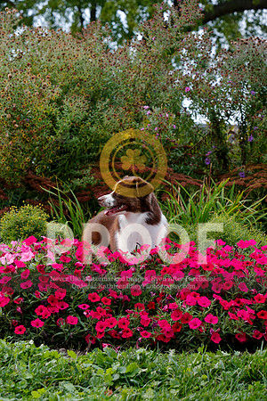 2021-KathleenRileyPhotography-5126
