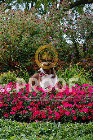 2021-KathleenRileyPhotography-5127