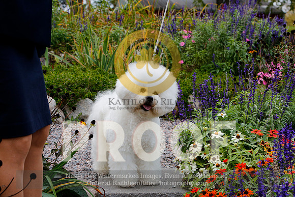 2021-KathleenRileyPhotography-4099