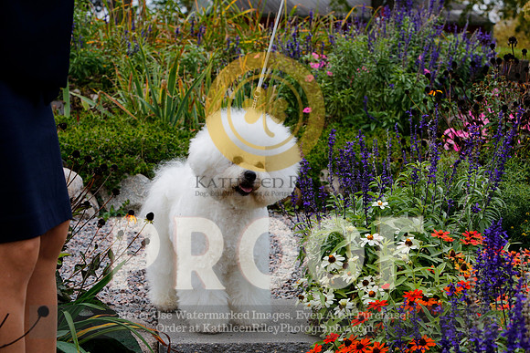 2021-KathleenRileyPhotography-4103