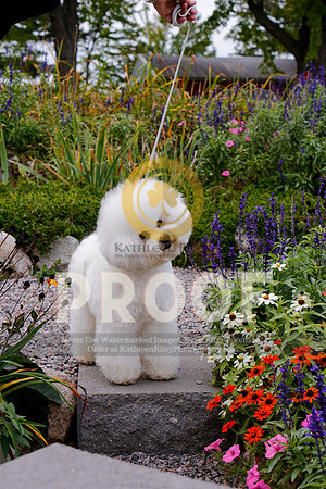 2021-KathleenRileyPhotography-4111