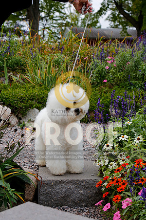 2021-KathleenRileyPhotography-4112