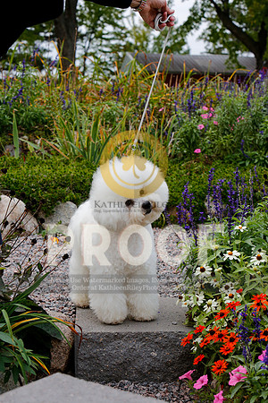 2021-KathleenRileyPhotography-4113