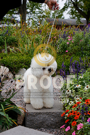 2021-KathleenRileyPhotography-4114