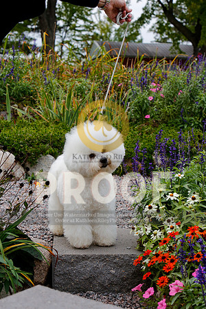 2021-KathleenRileyPhotography-4116