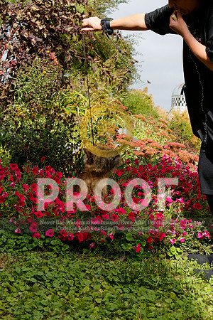 2021-KathleenRileyPhotography-5231