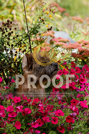 2021-KathleenRileyPhotography-5232