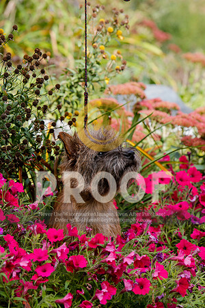 2021-KathleenRileyPhotography-5241