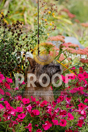 2021-KathleenRileyPhotography-5242