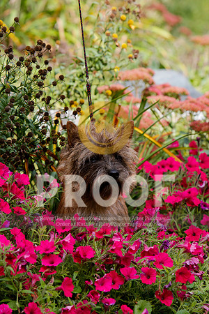 2021-KathleenRileyPhotography-5247