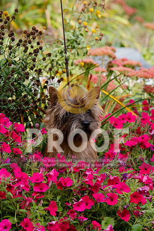 2021-KathleenRileyPhotography-5250