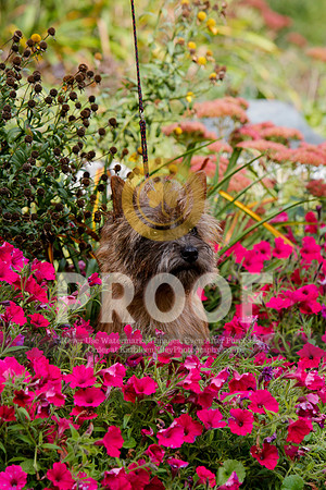 2021-KathleenRileyPhotography-5251