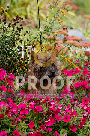2021-KathleenRileyPhotography-5253