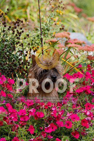 2021-KathleenRileyPhotography-5254