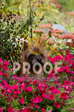 2021-KathleenRileyPhotography-5259