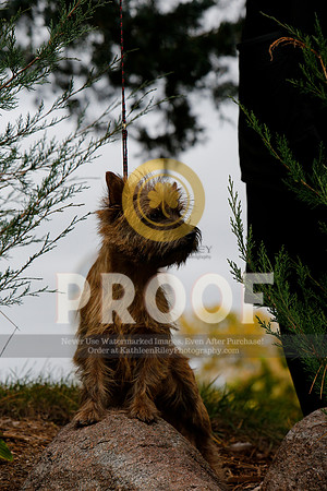 2021-KathleenRileyPhotography-5320