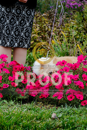 2021-KathleenRileyPhotography-4475