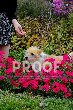 2021-KathleenRileyPhotography-4488