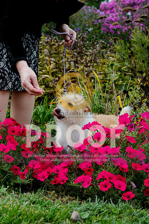 2021-KathleenRileyPhotography-4492
