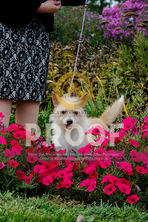2021-KathleenRileyPhotography-4499