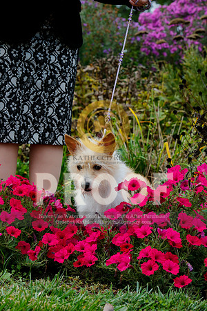 2021-KathleenRileyPhotography-4506