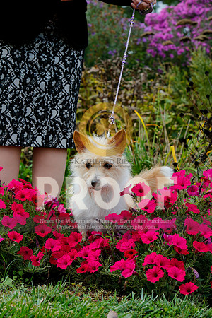 2021-KathleenRileyPhotography-4508