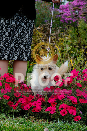 2021-KathleenRileyPhotography-4510