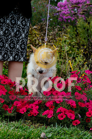 2021-KathleenRileyPhotography-4517