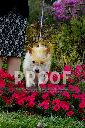 2021-KathleenRileyPhotography-4518