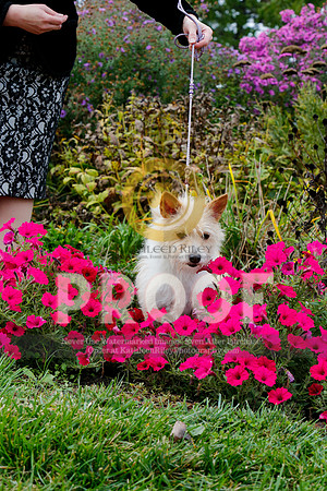 2021-KathleenRileyPhotography-4520