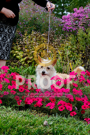 2021-KathleenRileyPhotography-4530