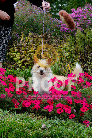 2021-KathleenRileyPhotography-4541