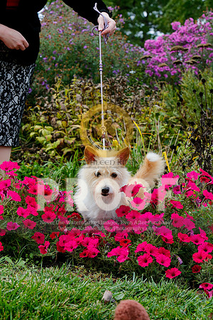 2021-KathleenRileyPhotography-4544