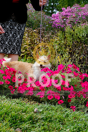 2021-KathleenRileyPhotography-4548
