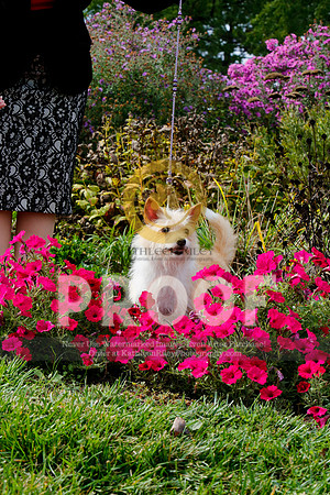 2021-KathleenRileyPhotography-4553