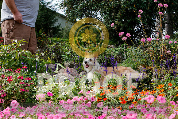 2021-KathleenRileyPhotography-4803