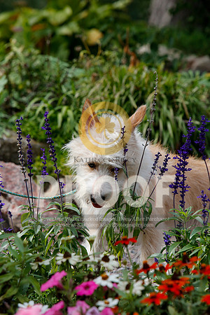 2021-KathleenRileyPhotography-4811
