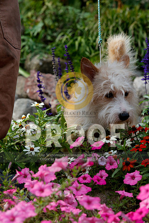 2021-KathleenRileyPhotography-4814