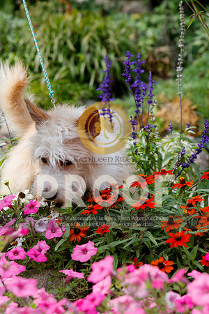 2021-KathleenRileyPhotography-4815