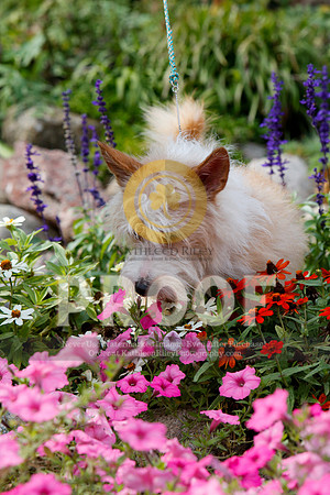 2021-KathleenRileyPhotography-4816