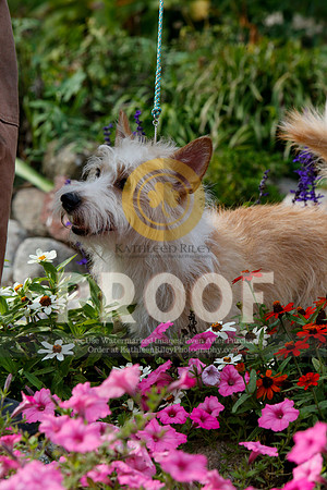 2021-KathleenRileyPhotography-4818
