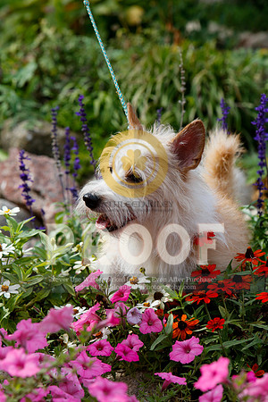 2021-KathleenRileyPhotography-4823