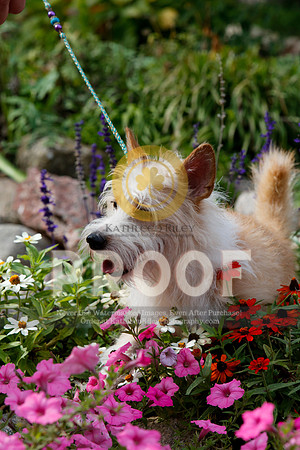 2021-KathleenRileyPhotography-4824