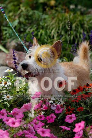 2021-KathleenRileyPhotography-4825