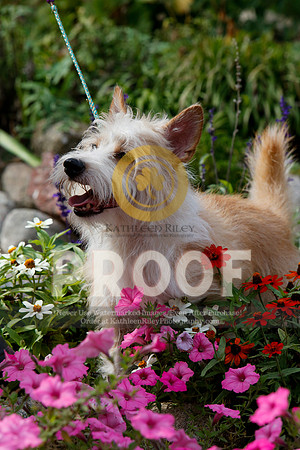 2021-KathleenRileyPhotography-4826