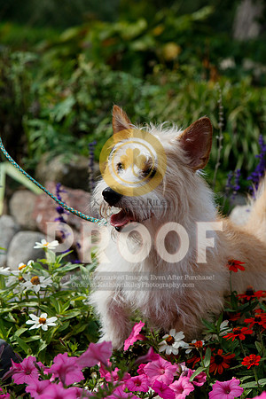2021-KathleenRileyPhotography-4836