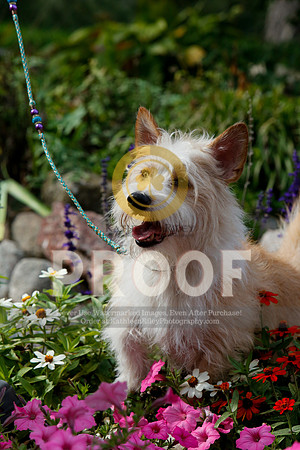 2021-KathleenRileyPhotography-4837
