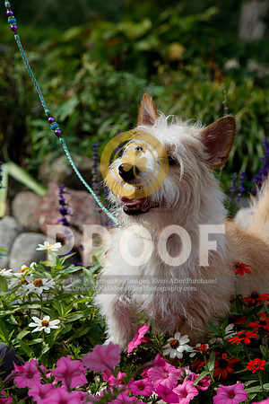 2021-KathleenRileyPhotography-4838