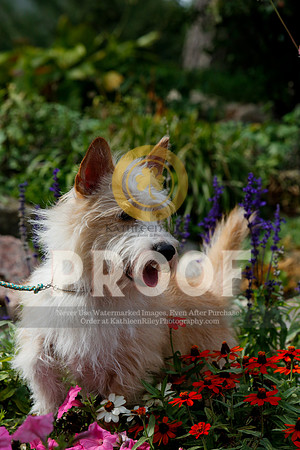 2021-KathleenRileyPhotography-4847