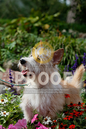 2021-KathleenRileyPhotography-4851